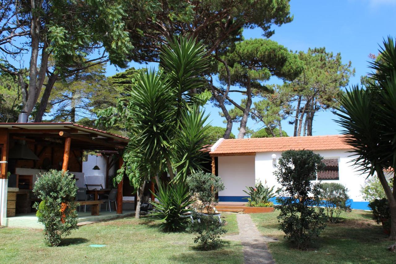 Casinha Do Pinhal Villa Colares Eksteriør billede