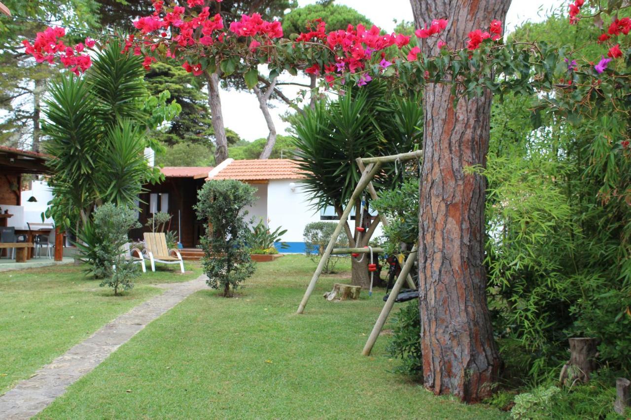Casinha Do Pinhal Villa Colares Eksteriør billede