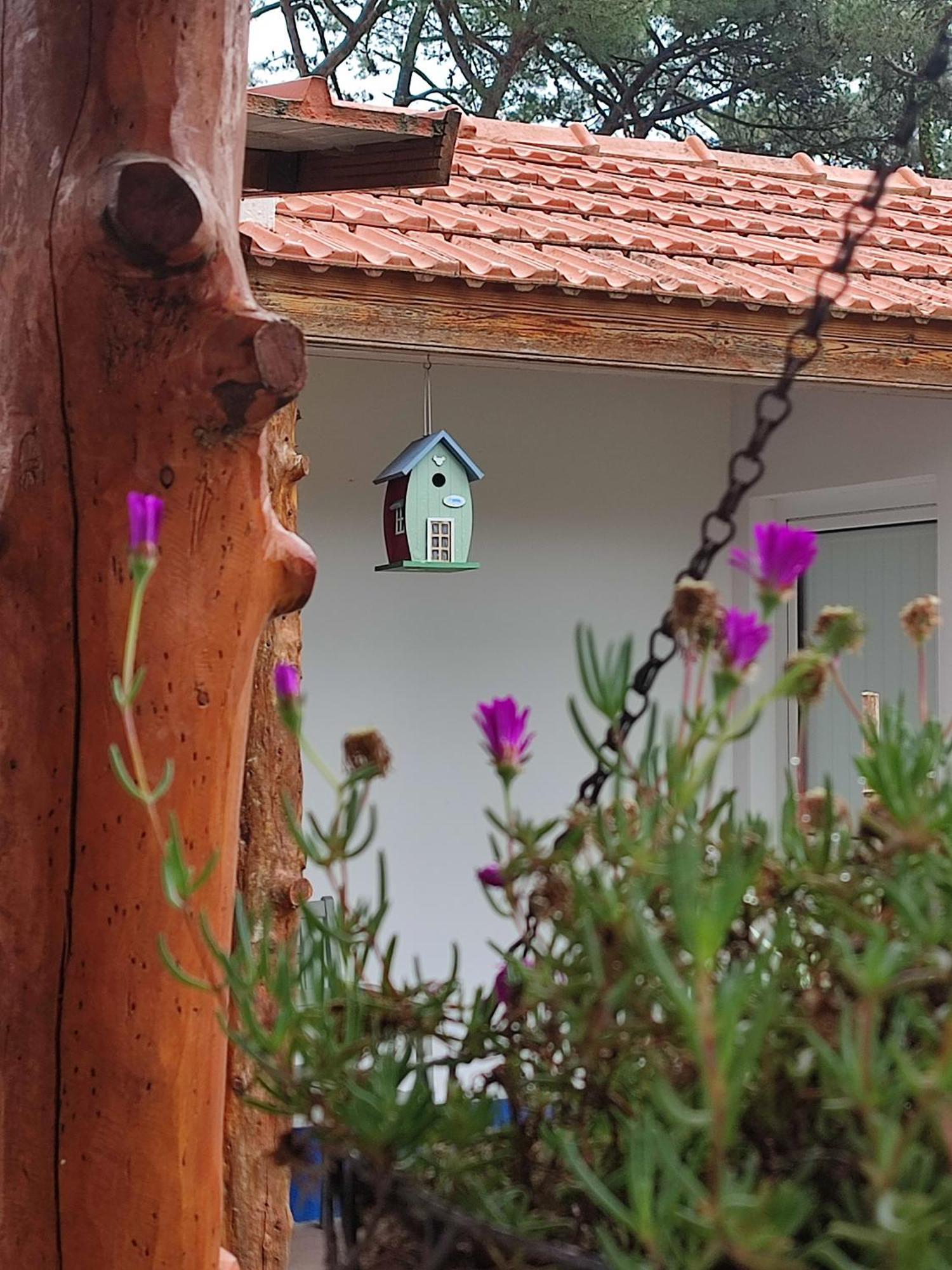 Casinha Do Pinhal Villa Colares Eksteriør billede